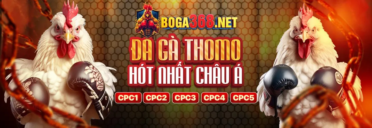 Chính sách Cookie của 36win link